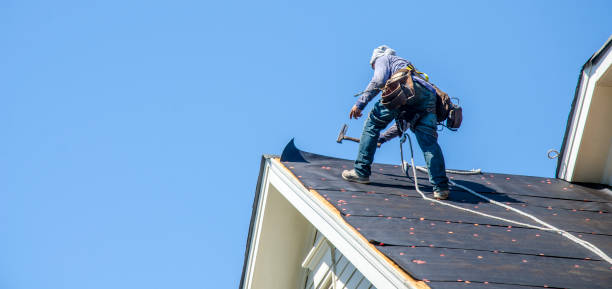 Roof Gutter Cleaning in Plainsboro Center, NJ